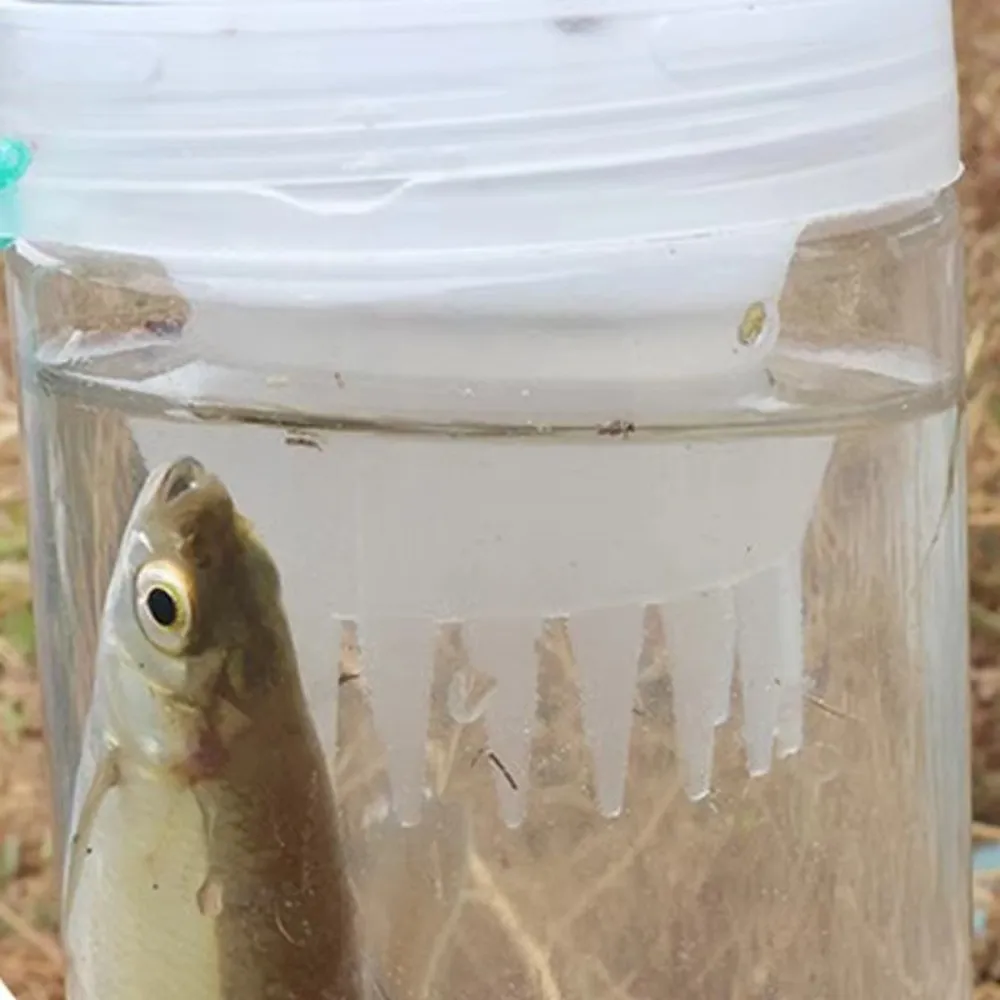 Material PET resistente y ligero para pesca recreativa