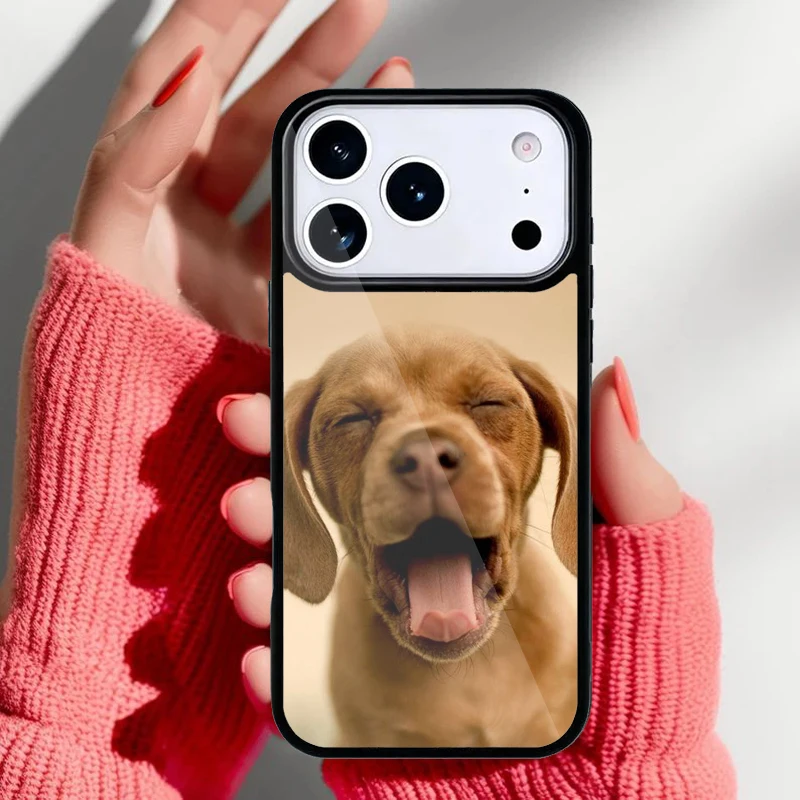 Funda colocada en el móvil, vista general