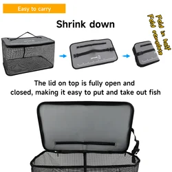 SANLIKE Cubo plegable para pesca - Tanque de agua portátil PVC