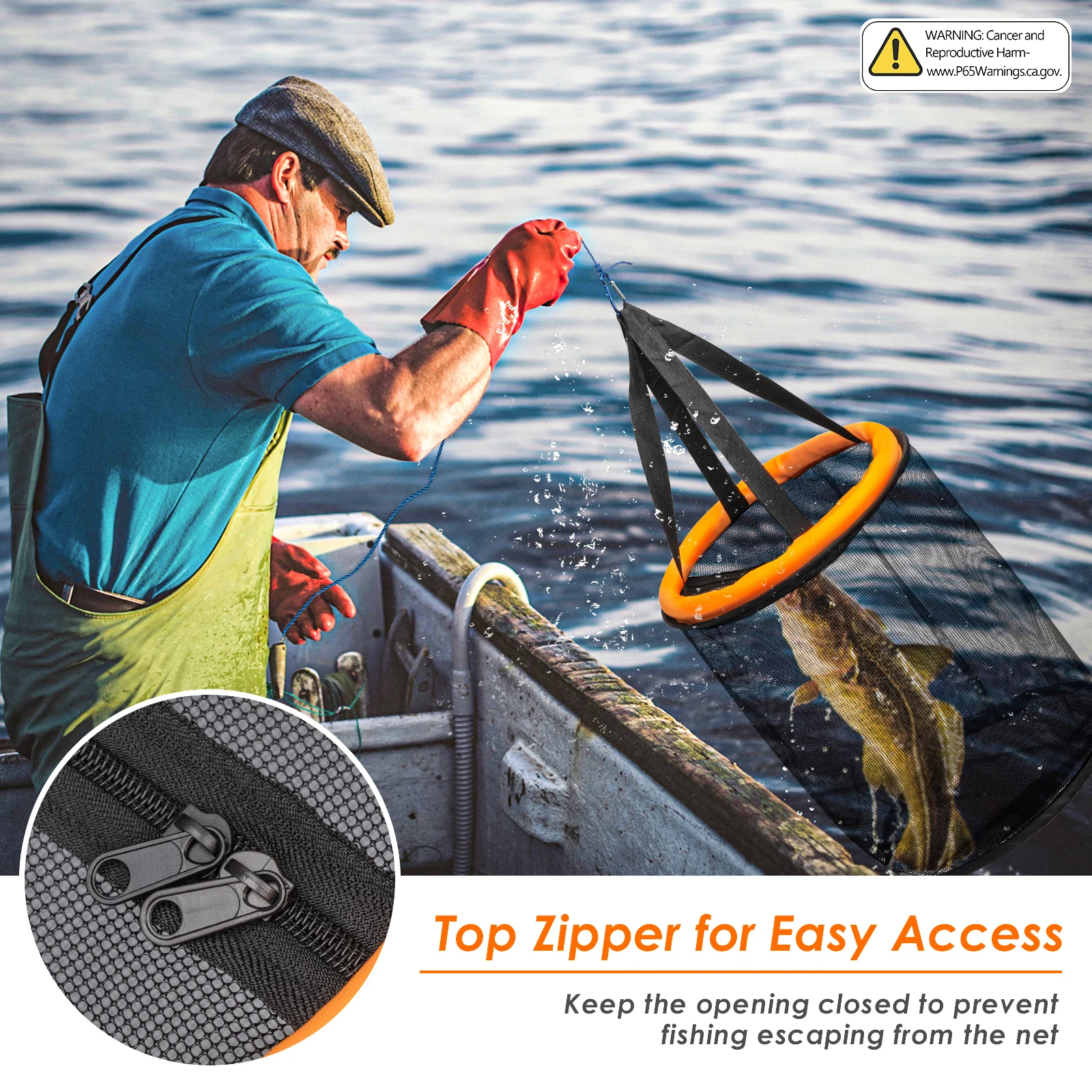 Cesta flotante para peces con aro de acero elástico