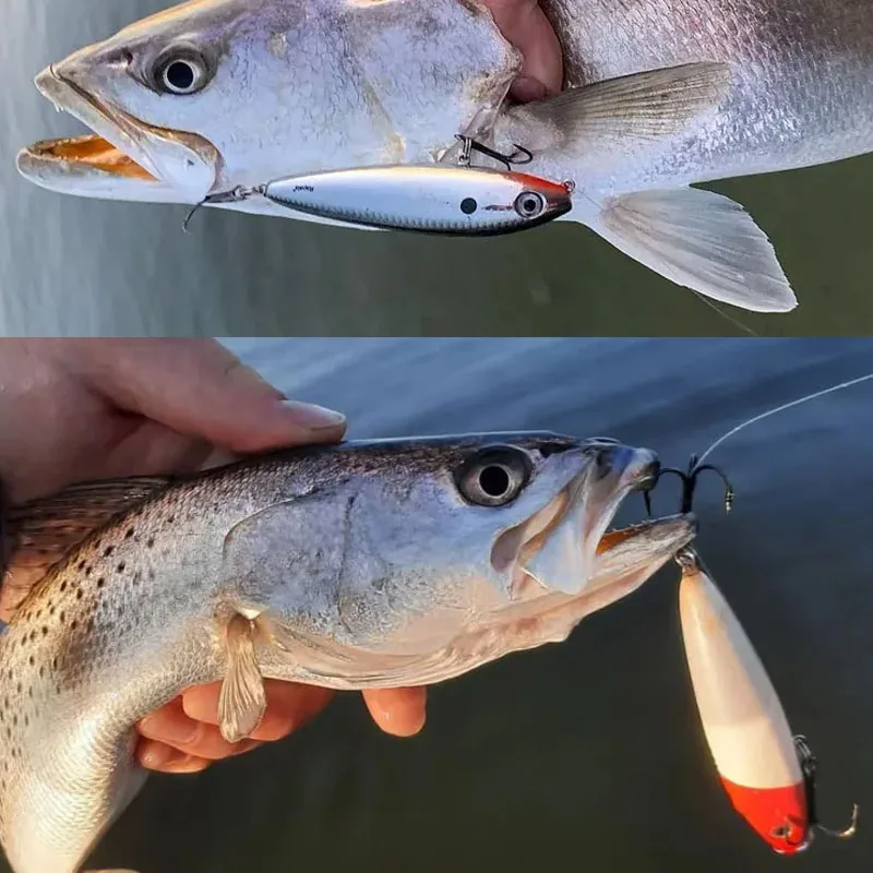 Skitter señuelo lápiz flotante para lubina y trucha agua salada - imagen 5