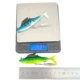 Señuelo blando con ojo 3D y lentejuelas para pesca al aire libre - imagen 3