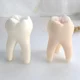 Molde para vinilo en silicona con dientes para resina y yeso - imagen 4