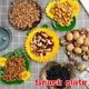 Plato decorativo cactus para guardar objetos y servir frutos secos - imagen 2