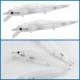 FREE FISHER Jerkbait flotante en blanco transparente con ojos 3D - imagen 4