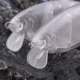 Dr.Holife Swimbait articulado sin pintar blanco - cebo de pesca DIY - imagen 2