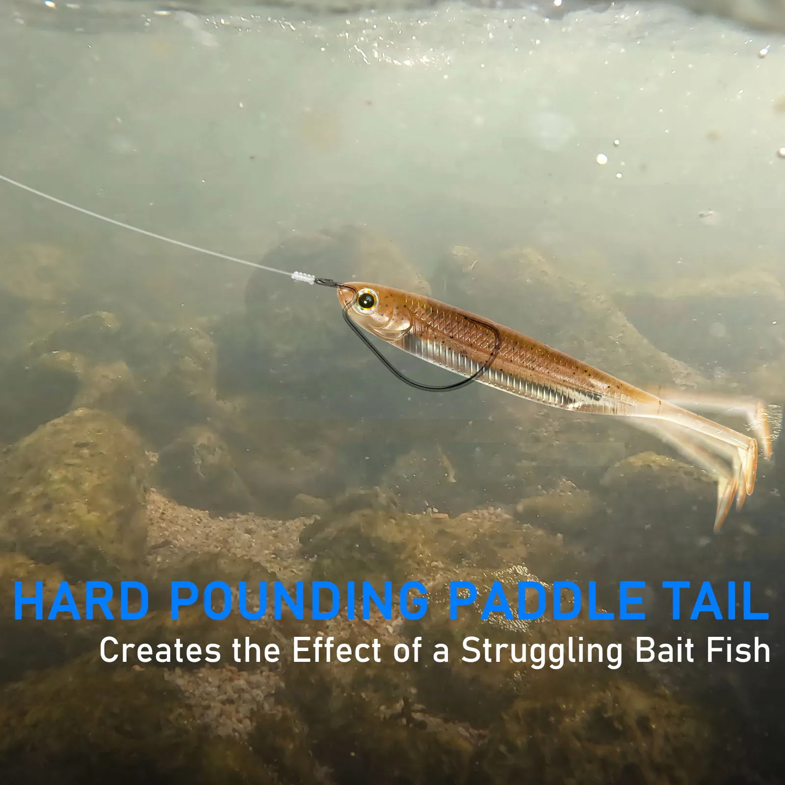 Señuelos swimbait y shad de vinilo para lubina drop shot - imagen 3