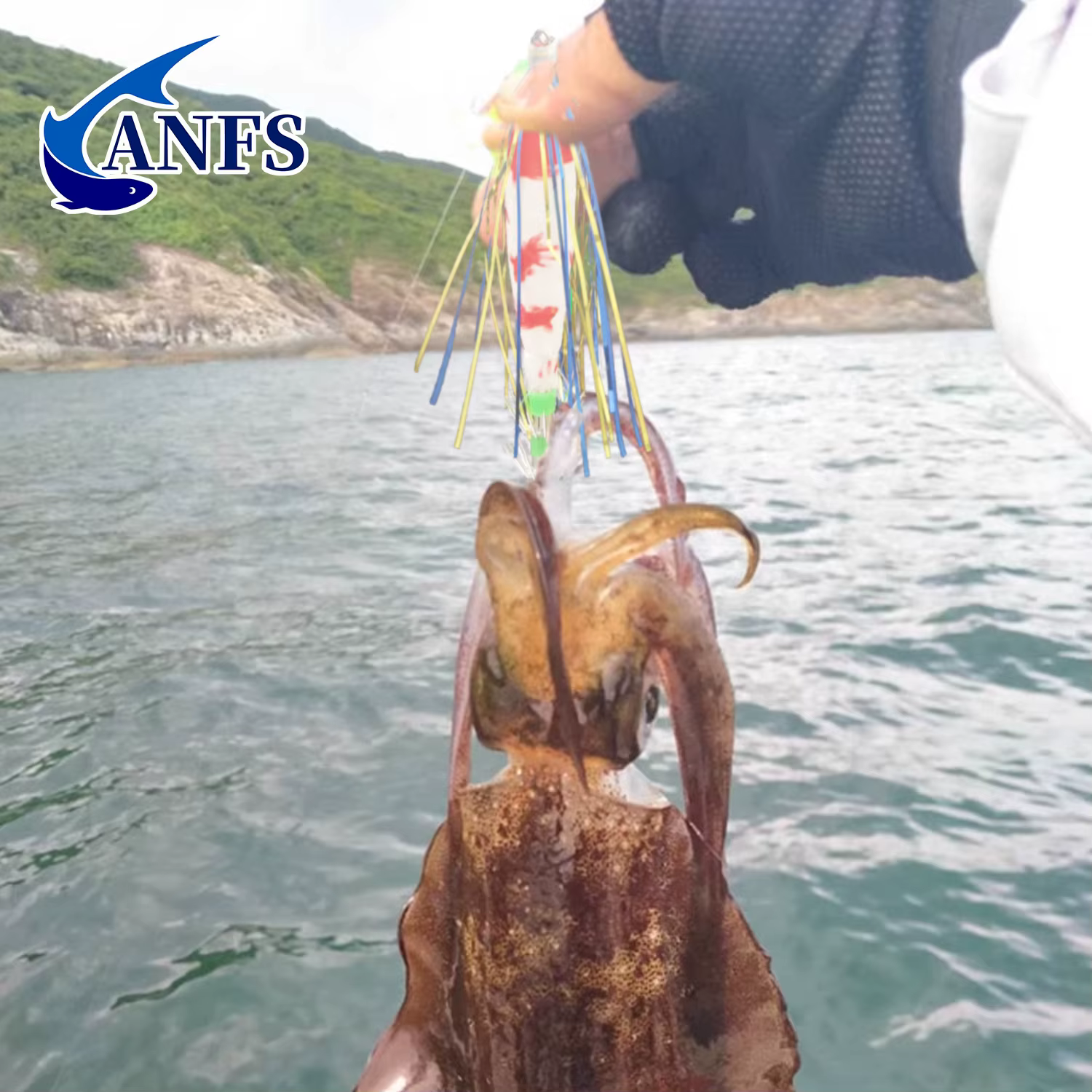 ANFS Juego de 5 Señuelos para Calamar, Pulpo y Sepia en Agua Salada - imagen 5