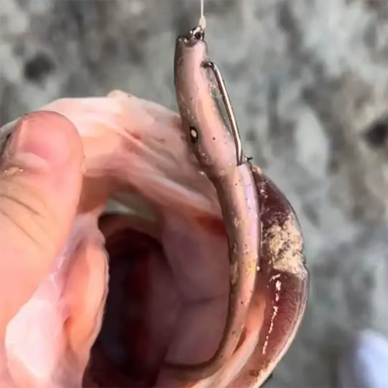 D1 Crazy Slug Vinilos Shad – Señuelos de pesca para lubina - imagen 5