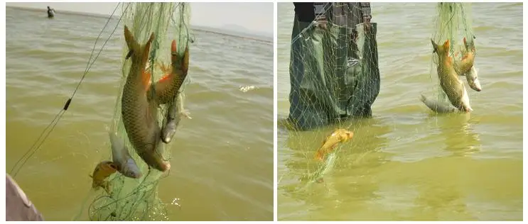 Aplicación pesca al aire libre