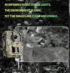 Cámara de caza HD con visión nocturna infrarroja impermeable