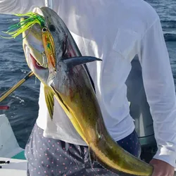 Jig de Pulpo Fluorescente para Aguas Profundas con Línea Anti-mordedura