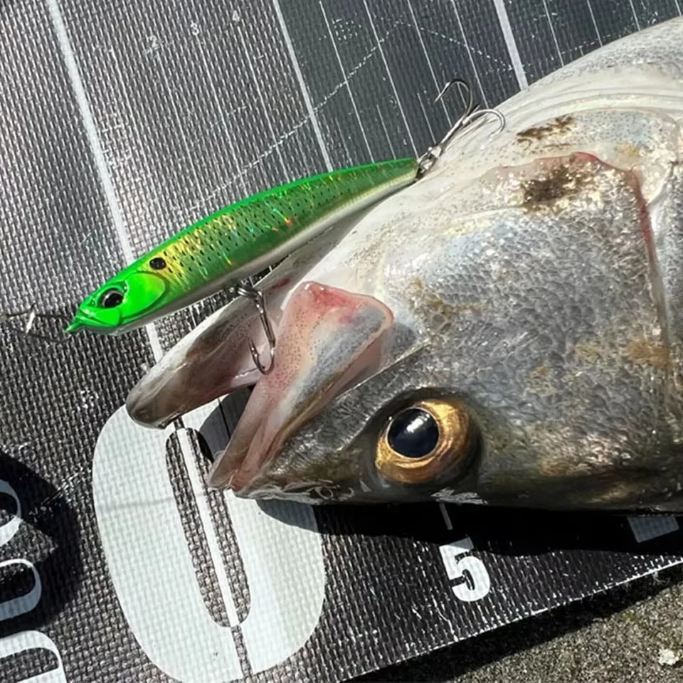 Stickbait lápiz WALK FISH 68 mm – Cebo duro para lubina y pececillo - imagen 3