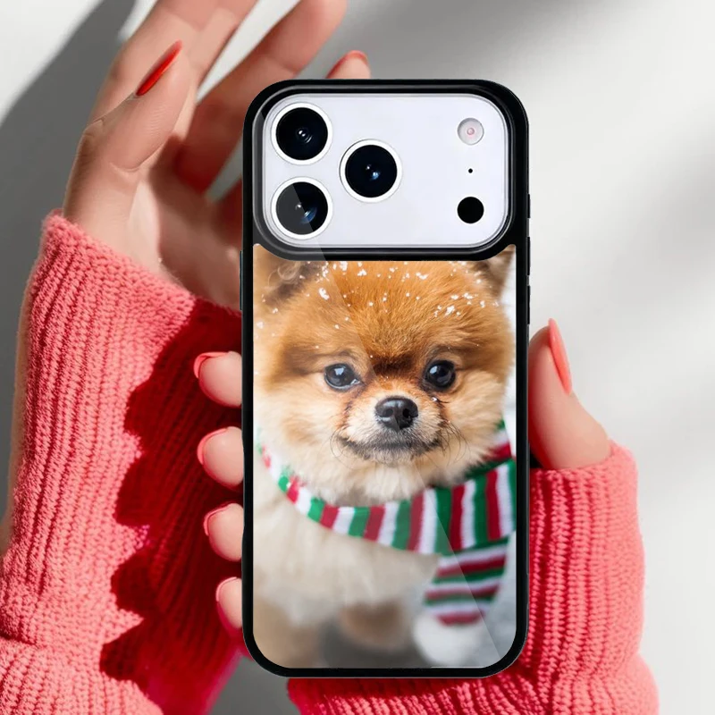 Funda Pomerania vista frontal
