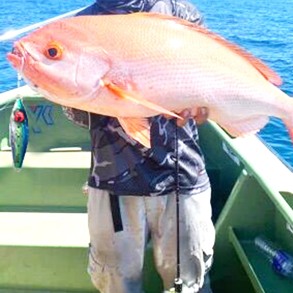 Señuelo Slow Jigging Metal Pesca en agua salada - imagen 2