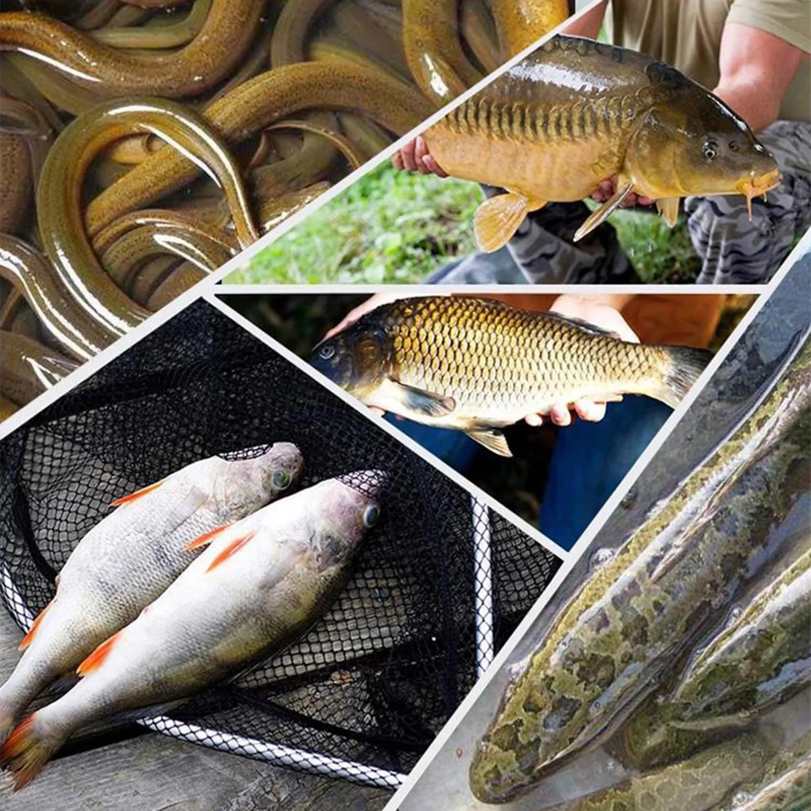 Uso en distintas condiciones de pesca