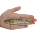 Swimbait multiarticulado biónico para lubina con anzuelo triple - imagen 3