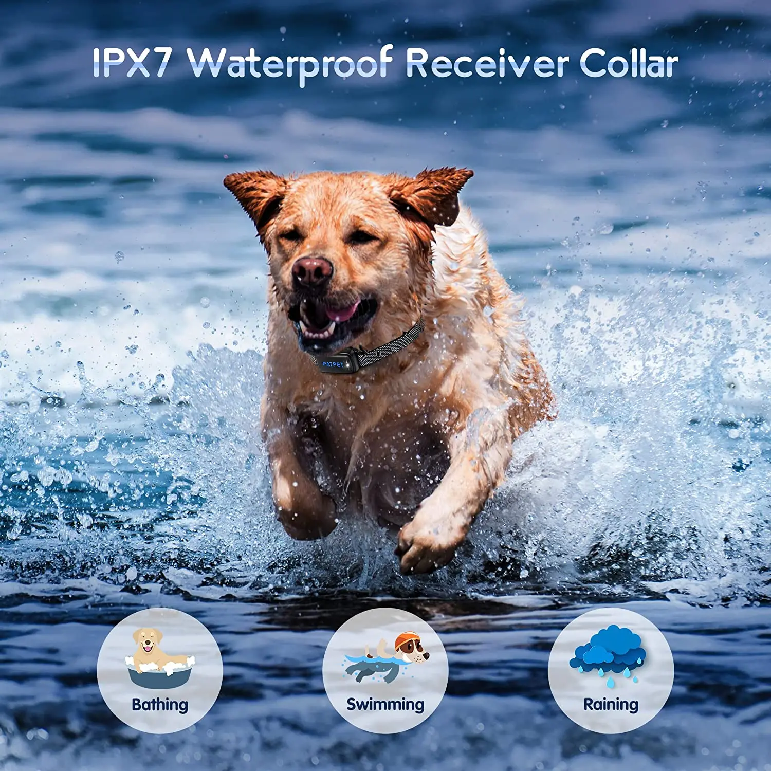 Collar electrónico adiestramiento perros recargable impermeable remoto - imagen 5