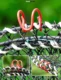 Red plegable para pesca de carpa y peces de fondo marinos - imagen 4
