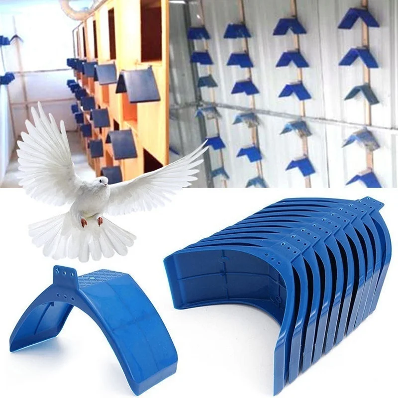 Soporte de descanso en V para palomas en color azul