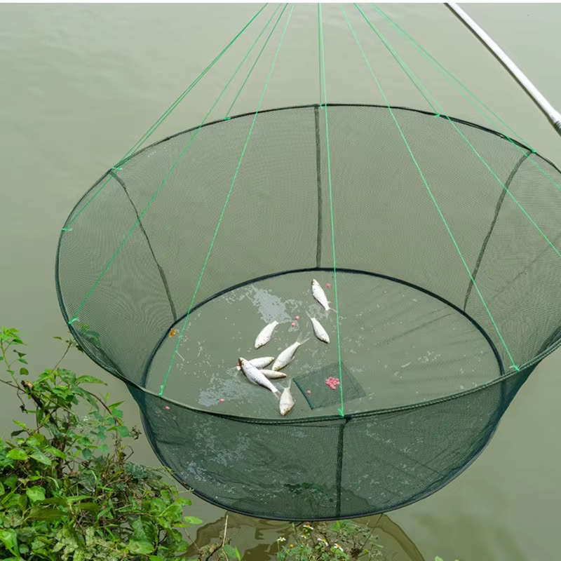 Red elevación plegable circular para pesca camarón y cangrejo