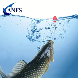 Boyas y Flotadores EVA ANFS para Pesca de Carpa