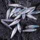 Señuelos VIB sin pintar DIY con láser y crankbait holográficos - imagen 3