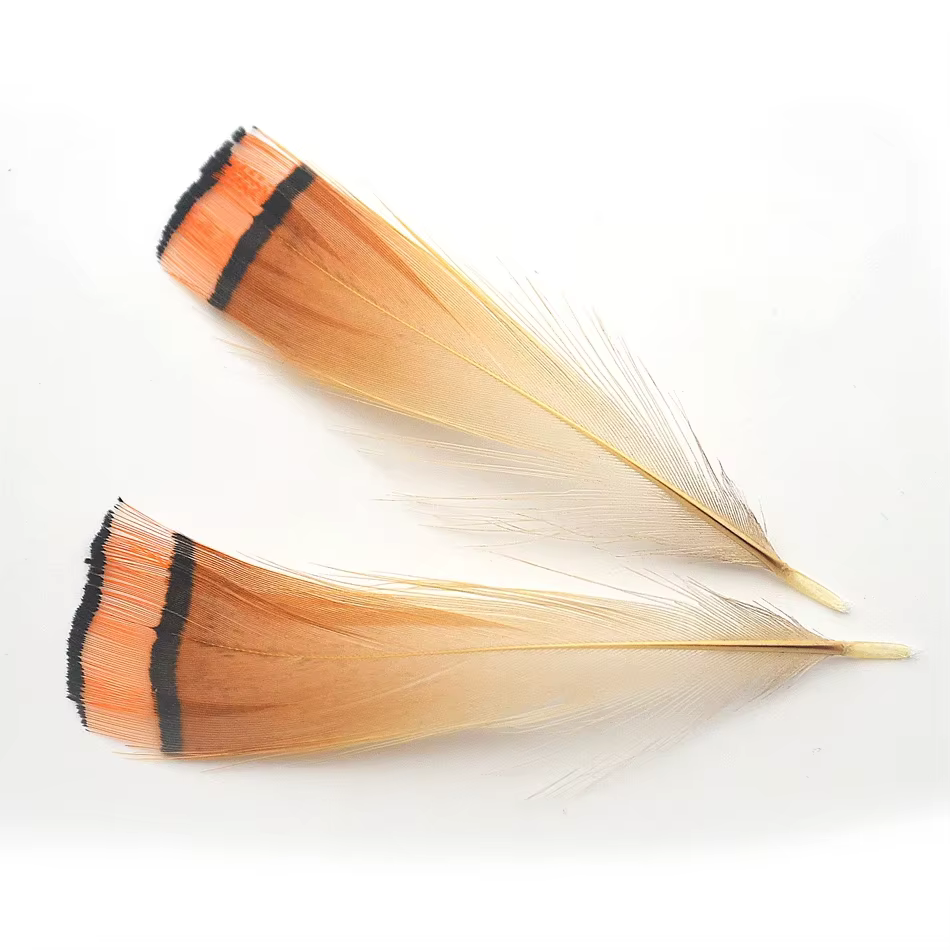 MNFT Plumas de Faisán Dorado Real para Atar Moscas – Calidad Premium - imagen 2