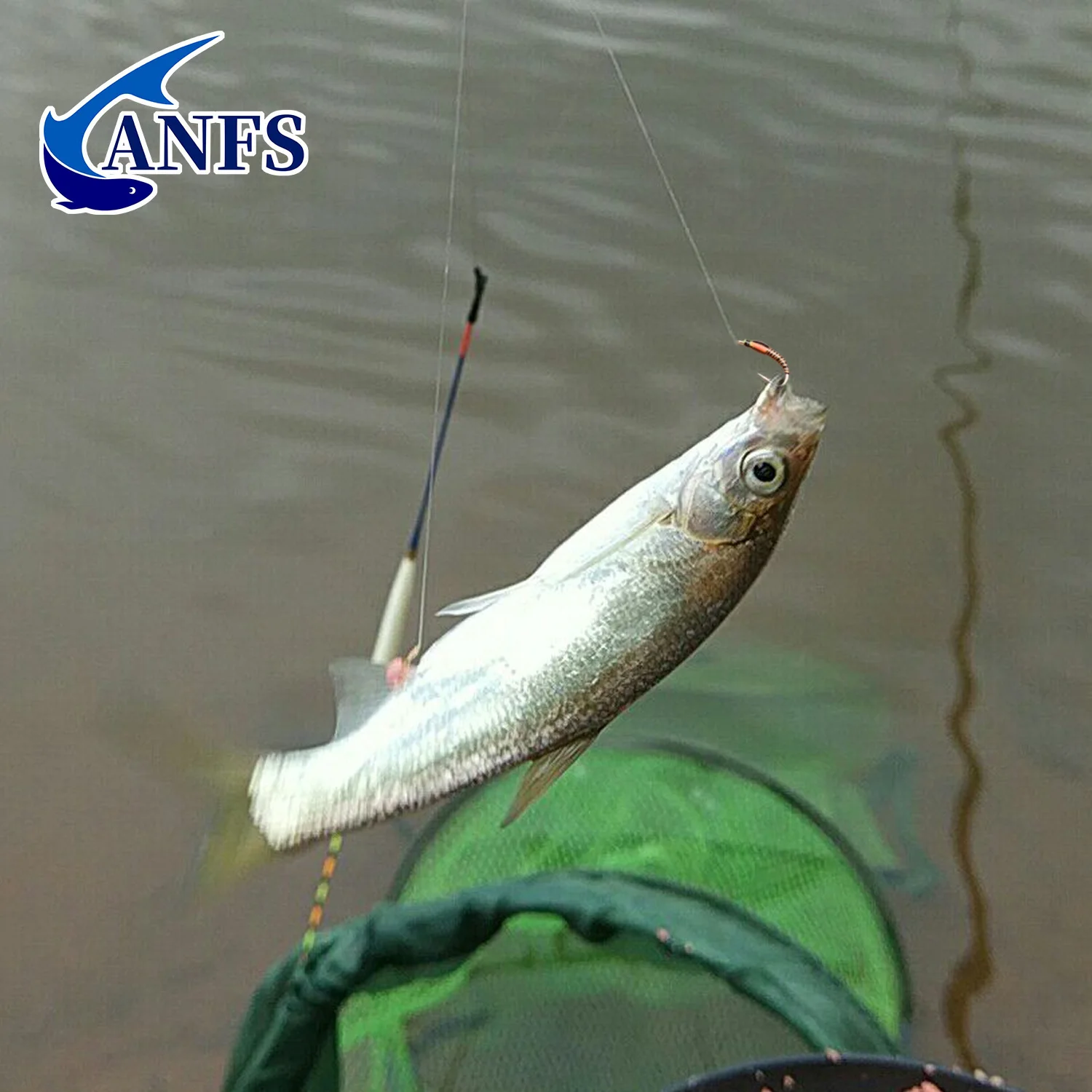 Moscas para trucha ANFS con ninfa, midge y buzzer – anzuelos - imagen 5