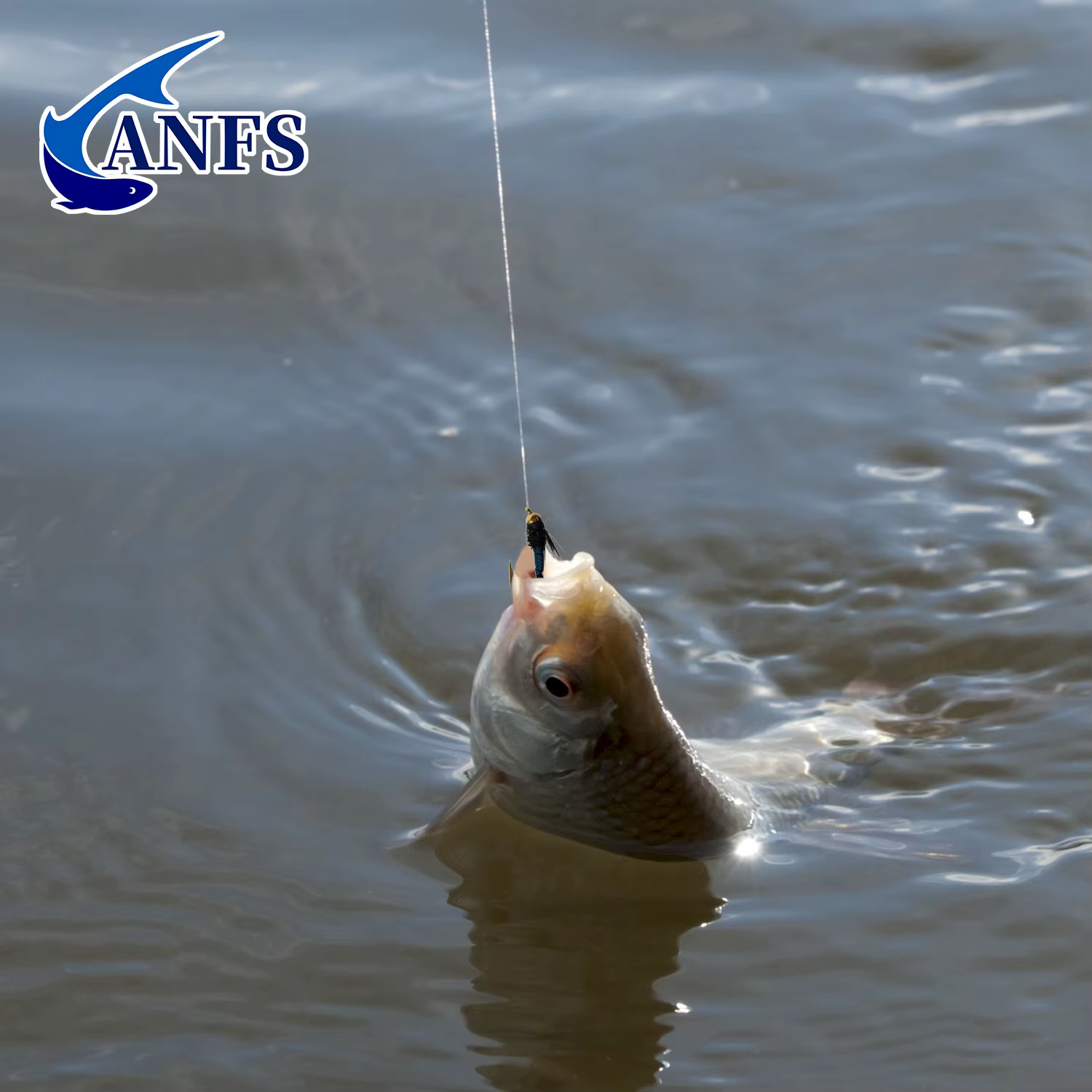 Moscas de Pesca John Fly Caja Cobre ANFS
