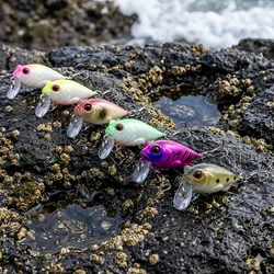 Mini Crankbait de Buceo Profundo para Lubina, Trucha y Perca