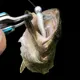 Jig head anzuelo grande – aparejo de pesca para jigging - imagen 3