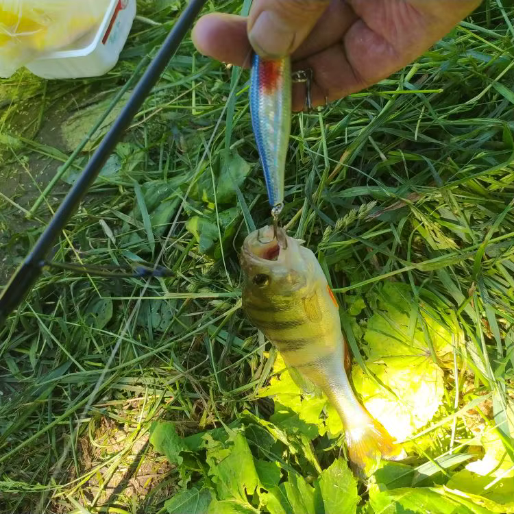 Crankbait Lubina Flotante 3D – Eficaz para Pesca de Agua Dulce - imagen 5