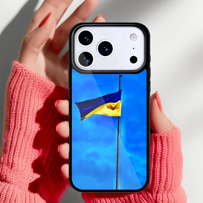 Vista trasera del iPhone con la funda instalada