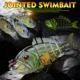 Proberos señuelo de lucio crankbait articulado realista - imagen 2