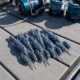 Vinilos cangrejo blandos de PVC ligeros artificiales para pesca carpas - imagen 5
