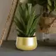 Maceta baja moderna de metal, boca ancha para jardín y hogar - imagen 5