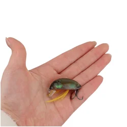 Señuelo Topwater Imitación Mariquita 3.5cm 4g Black Bass Carpa