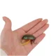 Señuelo Minnow flotante biónico para lubina en aguas profundas - imagen 2