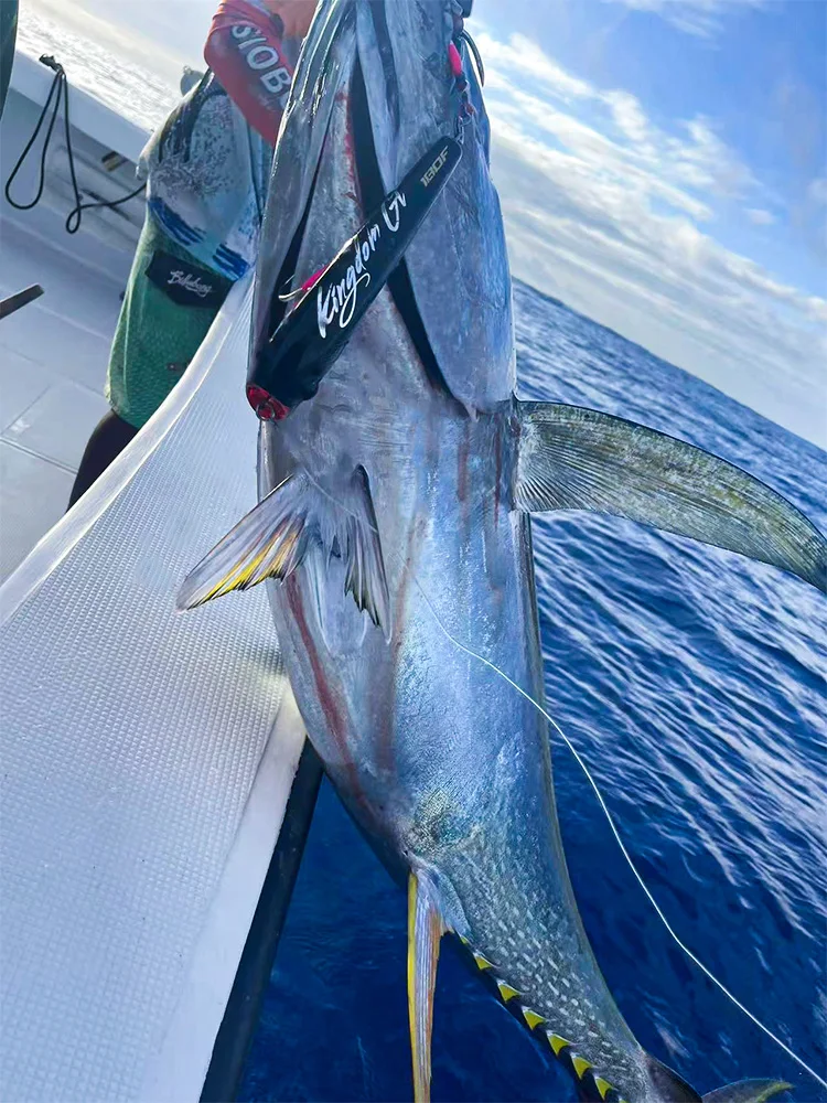 Señuelo Kingdom Popper Topwater en vista frontal y lateral