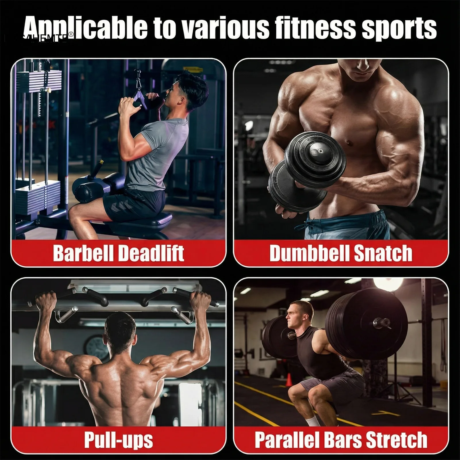Fitness y Musculación