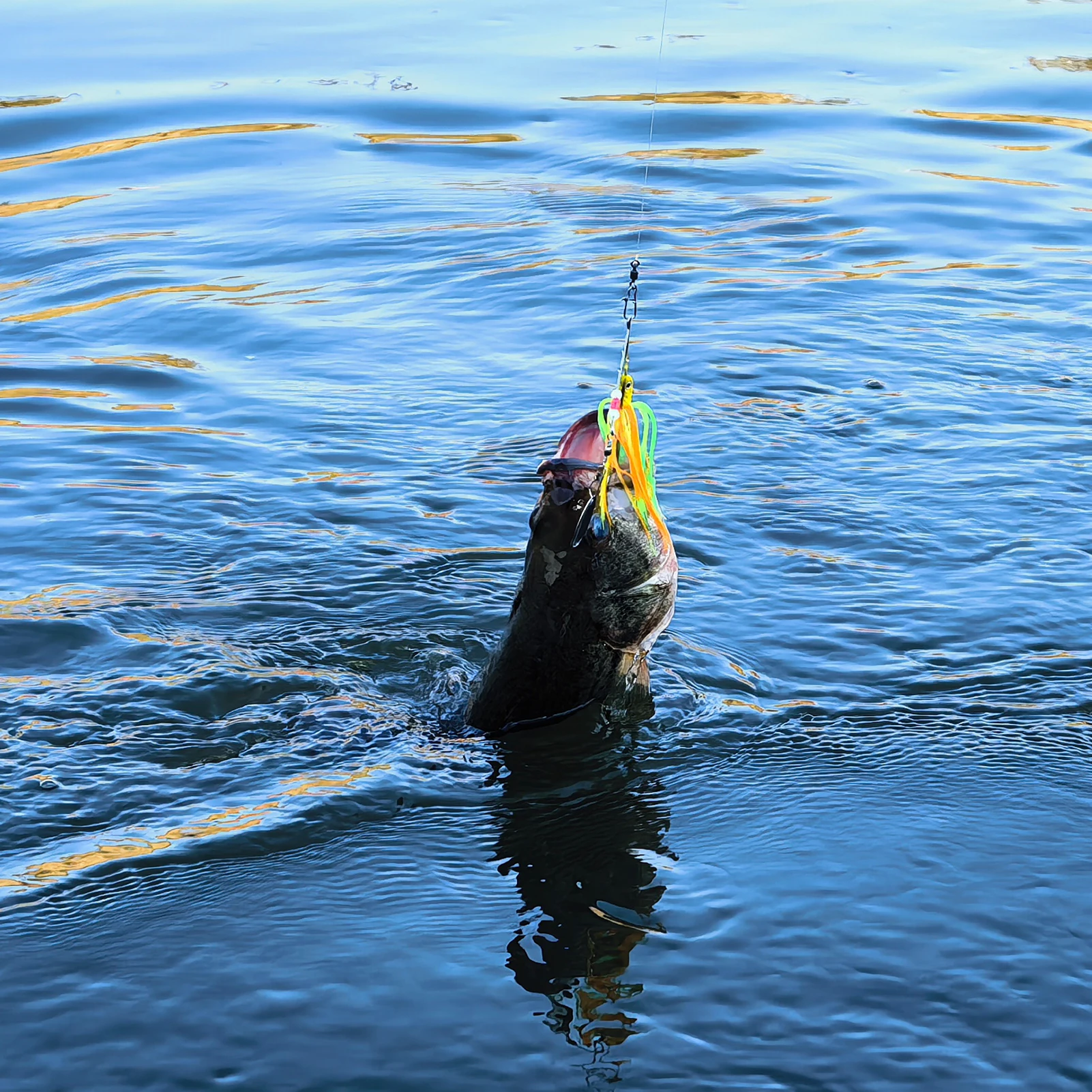 FREE FISHER Spinnerbait de lubina Buzzbait con faldas de goma