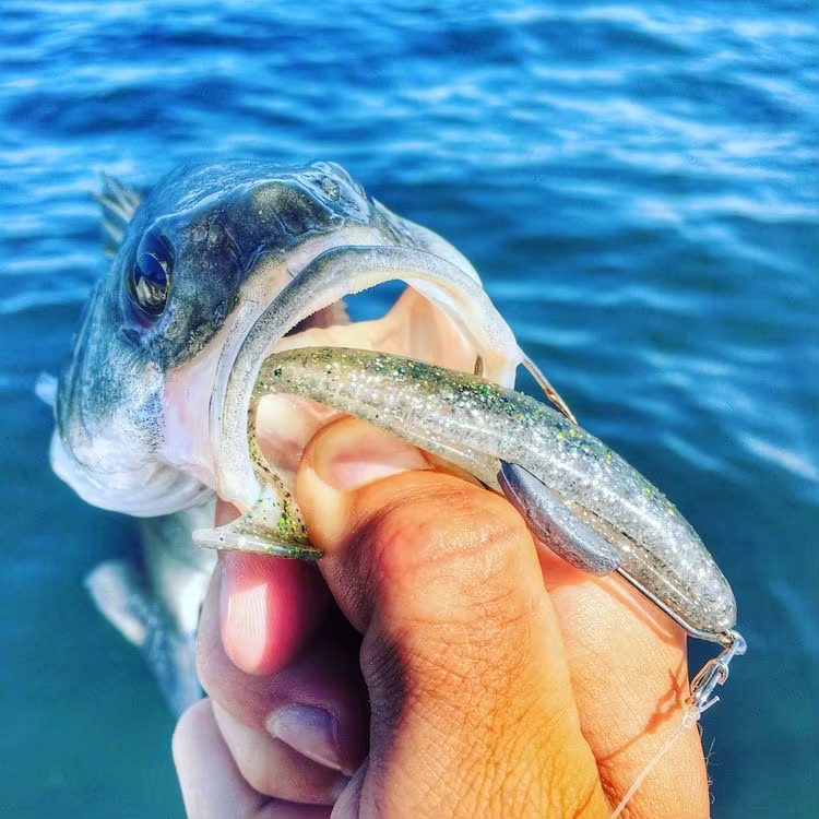 Señuelos blandos Eazi Shiner SwimBaits Weihai FSTK – 7cm/5cm doble color para carpa - imagen 5