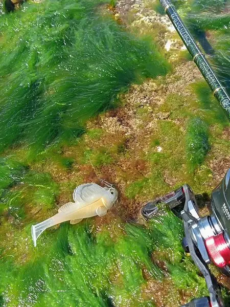 Swimbait blando para pesca en distintos escenarios