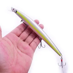 Crankbait señuelo duro para carpa y lubina - pez grande