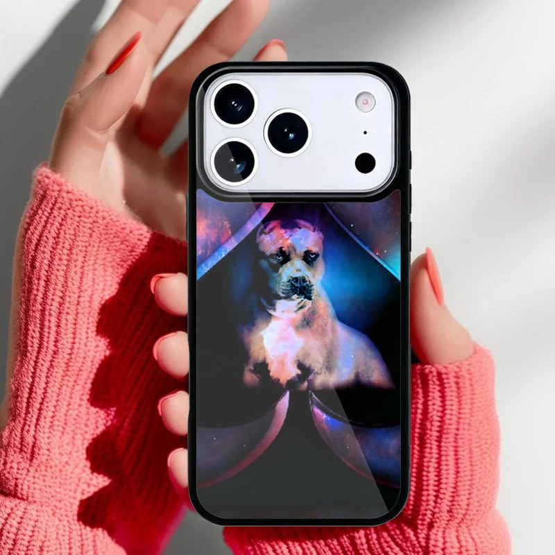 Funda instalada en iPhone