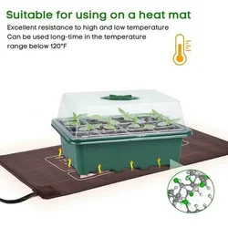 Bandeja germinación con tapa – Kit cultivo semillas para interior