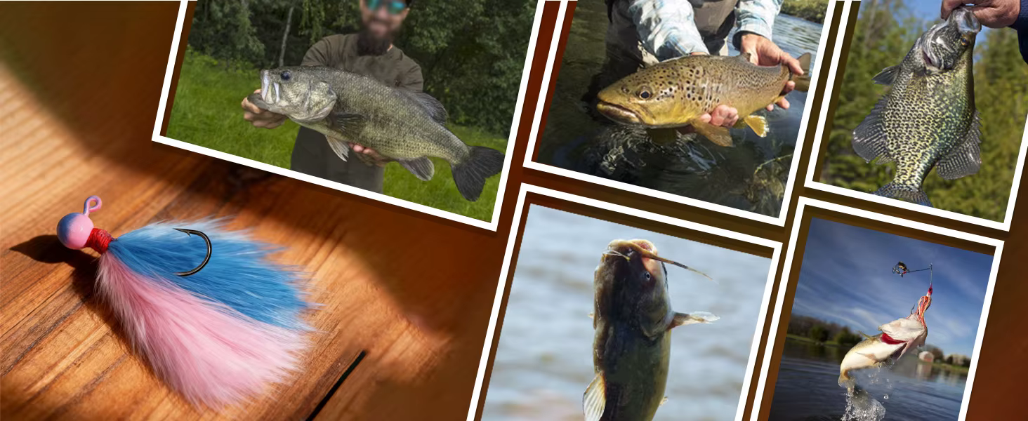 FishTrip kit de 5 piezas