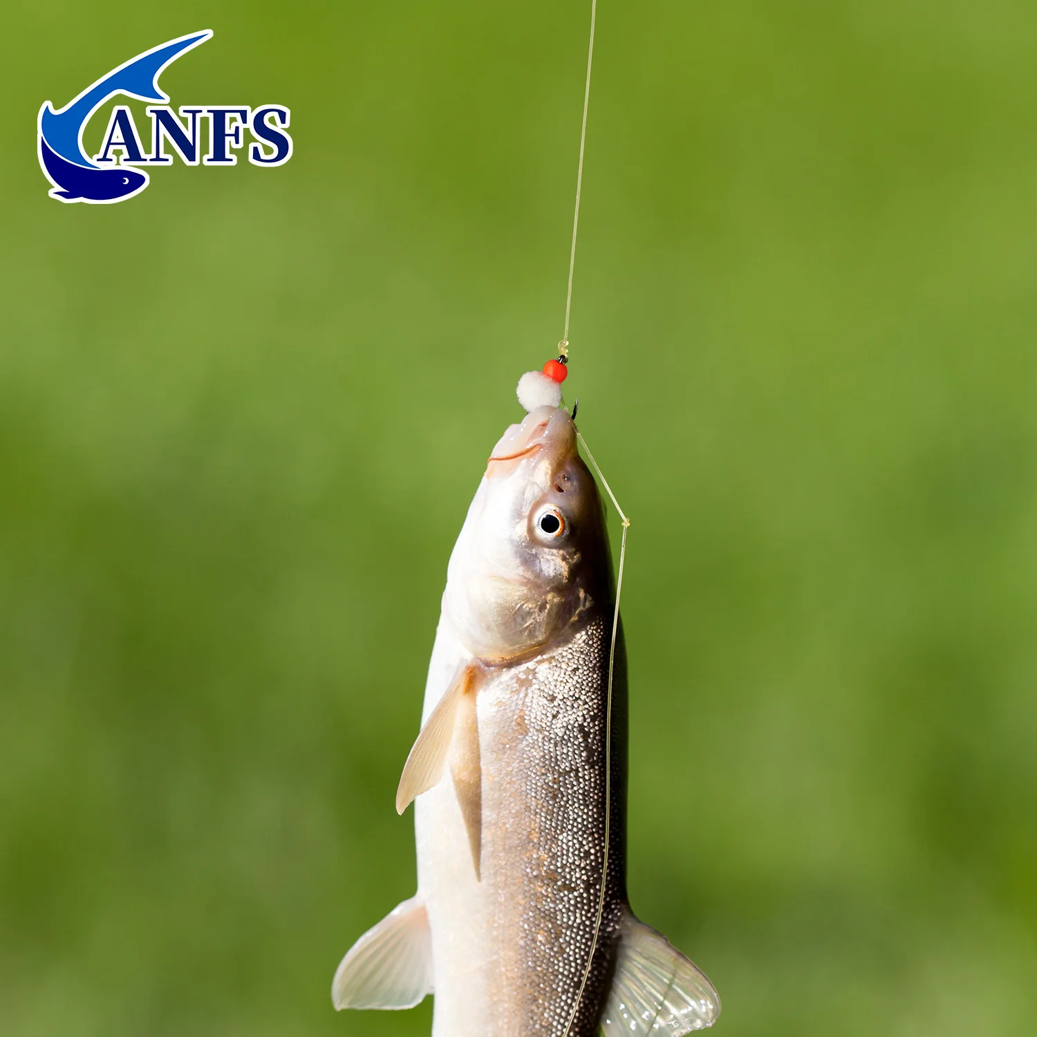 ANFS Moscas Huevo 4 unidades – Cuerpo ligero para ninfa europea - imagen 4