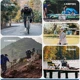 GIANT Gafas de ciclismo antiempañamiento lentes REVO para MTB y carretera - imagen 5
